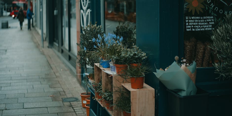 A display of potted flowering plants arranged on wooden shelves outside a shop, featuring a variety of species with blue, white, and green foliage. The plants are in terracotta, plastic, and decorated
